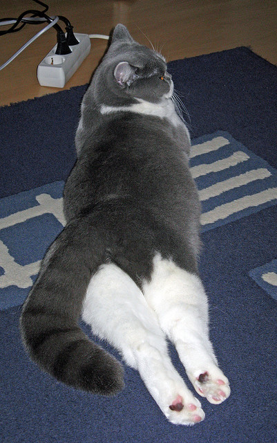 kaiyun体育综合-_街头文化与体育结合：新型都市运动风潮_，街头运动风格